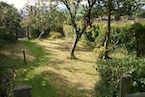 Holiday Cottage in the Quantocks